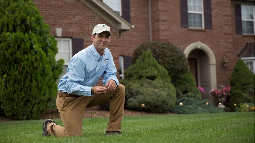 Cover photo of Lawn Doctor of NW Tampa - East New Port Richey - Odessa