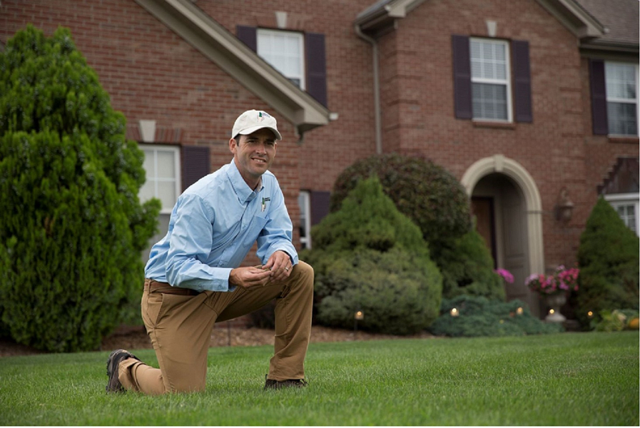 Cover photo of Lawn Doctor of NW Tampa - East New Port Richey - Odessa